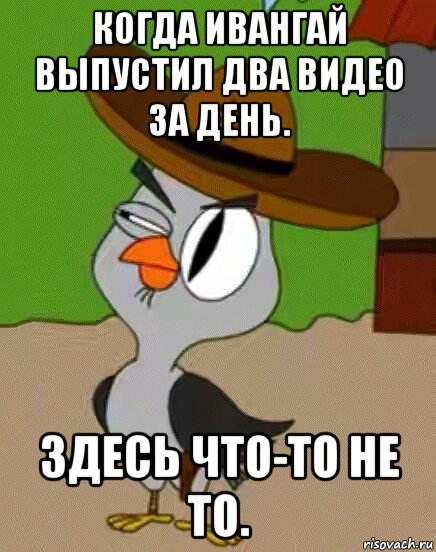 когда ивангай выпустил два видео за день. здесь что-то не то., Мем    Упоротая сова