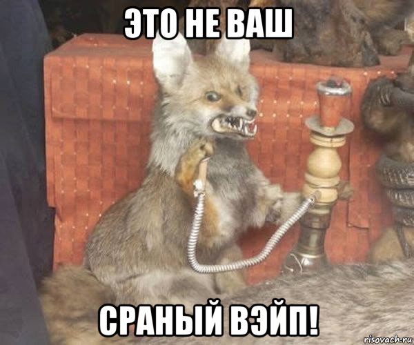 это не ваш сраный вэйп!