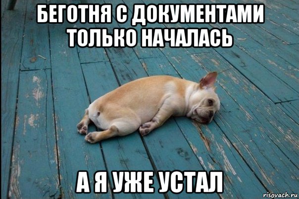 беготня с документами только началась а я уже устал