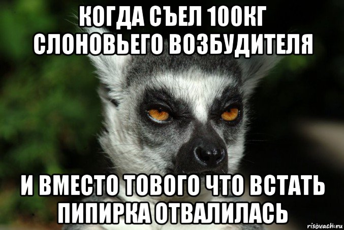 когда съел 100кг слоновьего возбудителя и вместо тового что встать пипирка отвалилась, Мем   Я збагоен