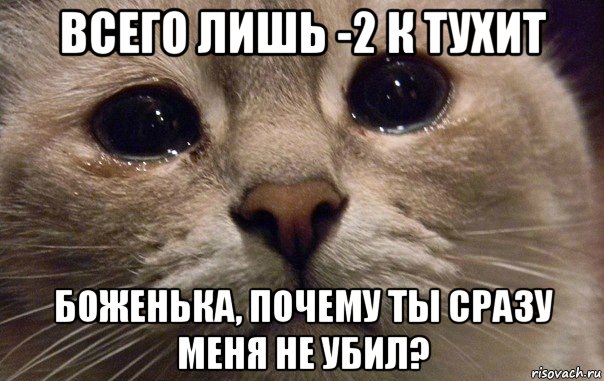 всего лишь -2 к тухит боженька, почему ты сразу меня не убил?, Мем   В мире грустит один котик