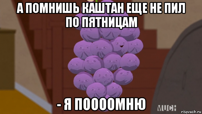 а помнишь каштан еще не пил по пятницам - я поооомню