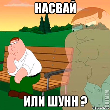 насвай или шунн ?, Мем Выбор