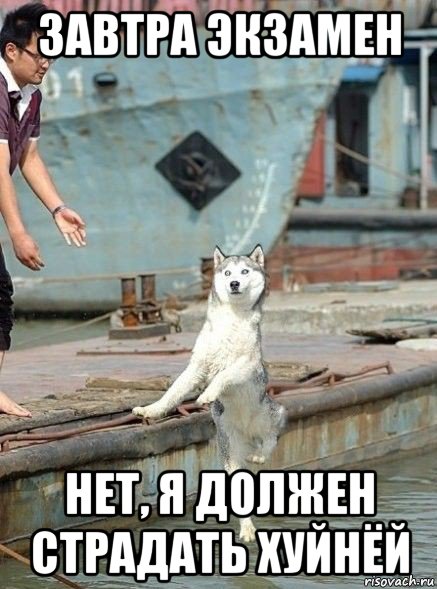 завтра экзамен нет, я должен страдать хуйнёй