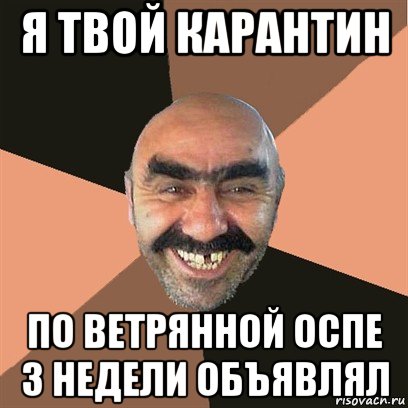 я твой карантин по ветрянной оспе 3 недели объявлял, Мем Я твой дом труба шатал