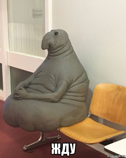  жду