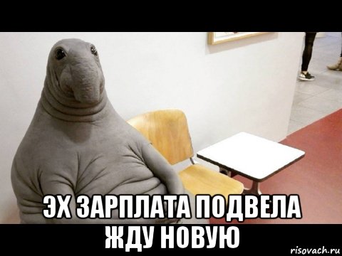  эх зарплата подвела жду новую