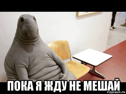  пока я жду не мешай