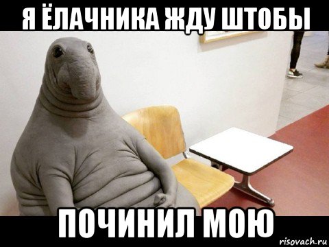 я ёлачника жду штобы починил мою