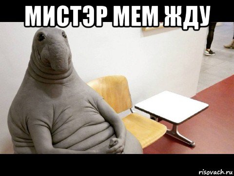мистэр мем жду 