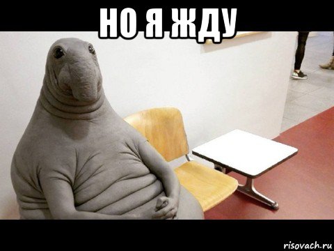 но я жду 