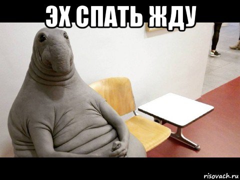 эх спать жду 
