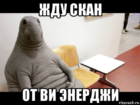 жду скан от ви энерджи