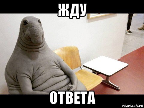 жду ответа