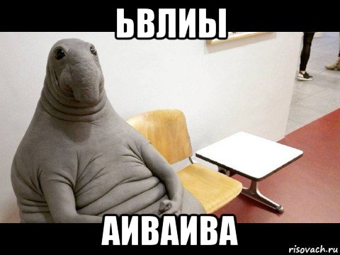 ьвлиы аиваива