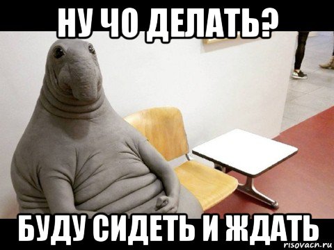 ну чо делать? буду сидеть и ждать
