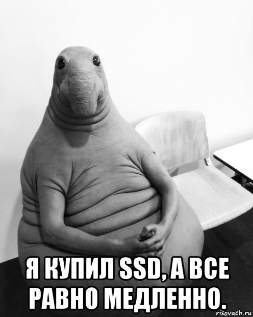  я купил ssd, а все равно медленно., Мем  Ждун