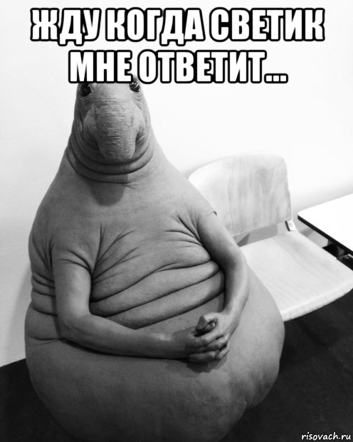 жду когда светик мне ответит... , Мем  Ждун