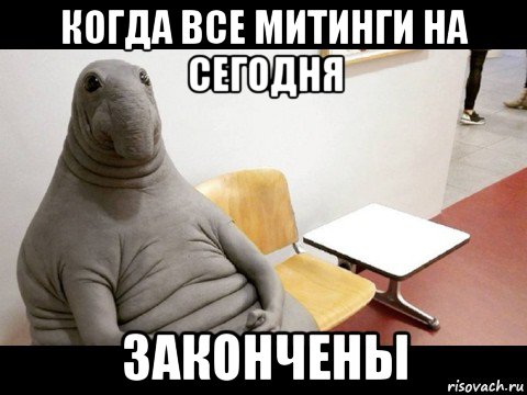 когда все митинги на сегодня закончены