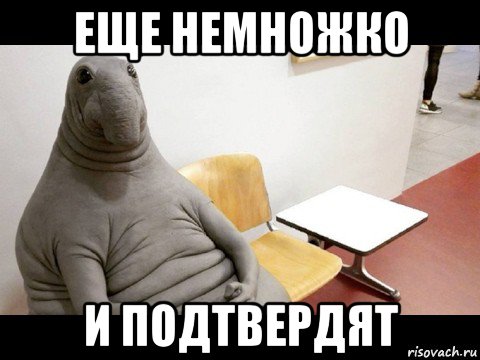 еще немножко и подтвердят