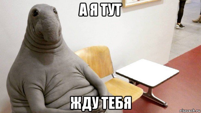 а я тут жду тебя