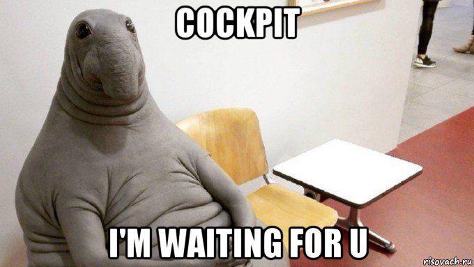 cockpit i'm waiting for u