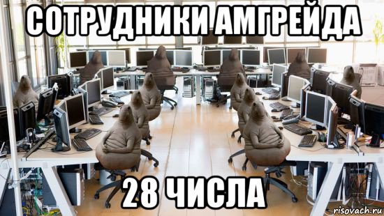 сотрудники амгрейда 28 числа