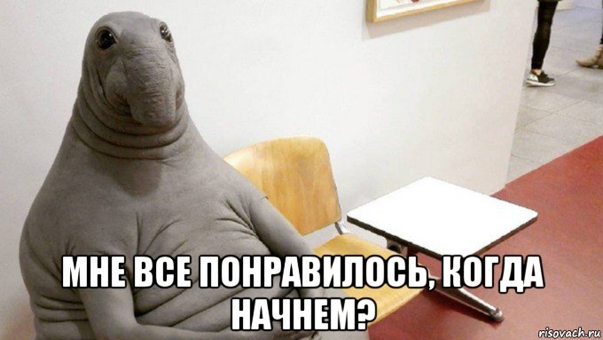  мне все понравилось, когда начнем?