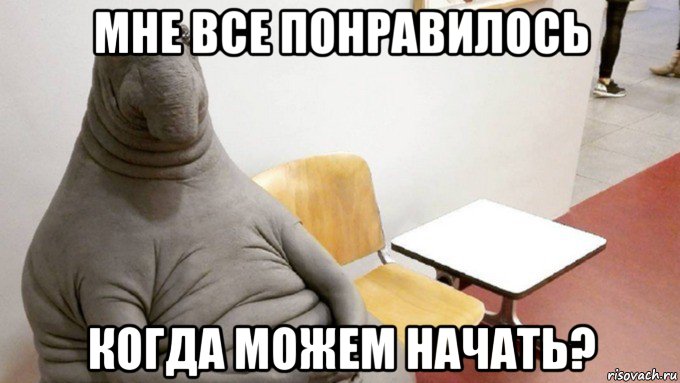 мне все понравилось когда можем начать?