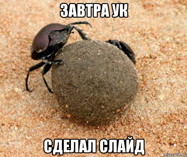 завтра ук сделал слайд