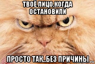 твоё лицо,когда остановили просто так..без причины, Мем Злой кот