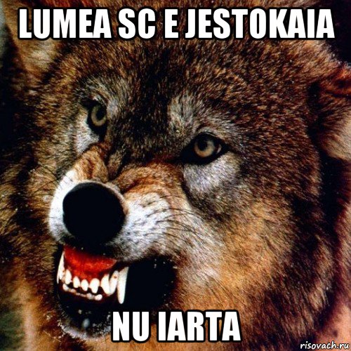 lumea sc e jestokaia nu iarta