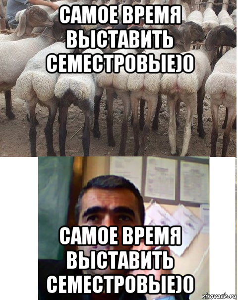 самое время выставить семестровые)0 самое время выставить семестровые)0, Мем 111
