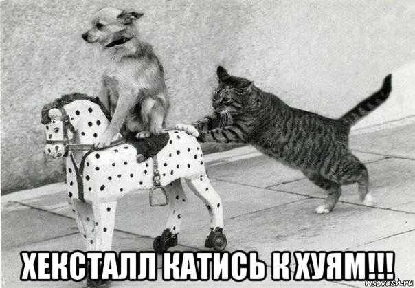  хексталл катись к хуям!!!, Мем 1