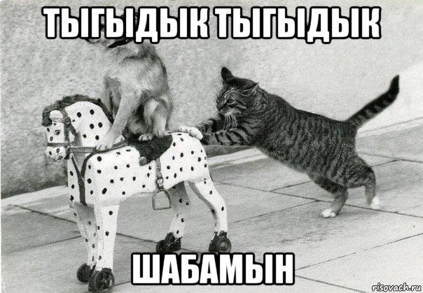 тыгыдык тыгыдык шабамын, Мем 1