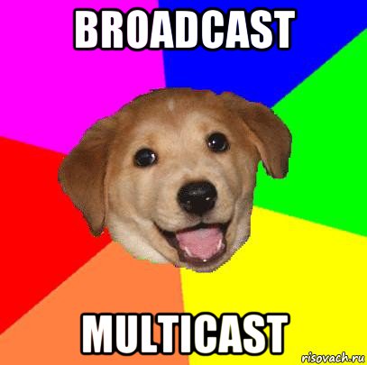 broadcast multicast, Мем Advice Dog
