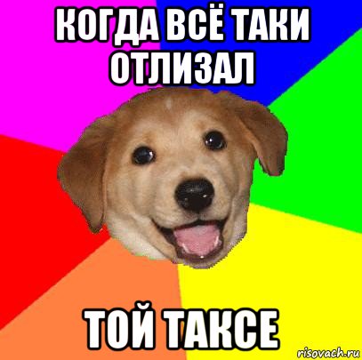 когда всё таки отлизал той таксе, Мем Advice Dog