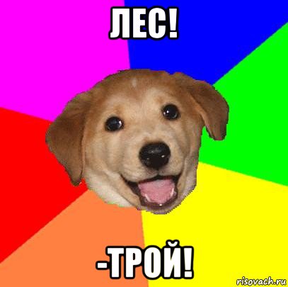 лес! -трой!, Мем Advice Dog