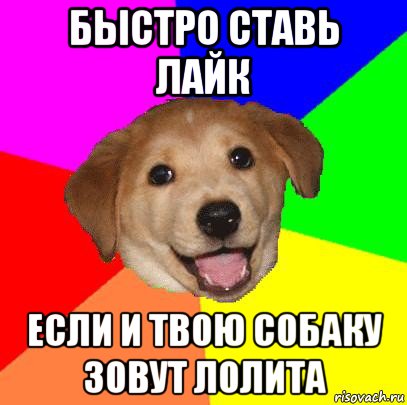 быстро ставь лайк если и твою собаку зовут лолита, Мем Advice Dog