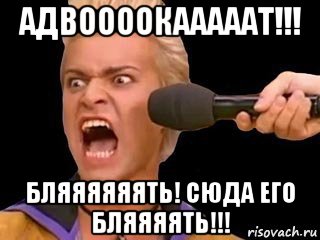 адвоооокааааат!!! бляяяяяять! сюда его бляяяять!!!, Мем Адвокат