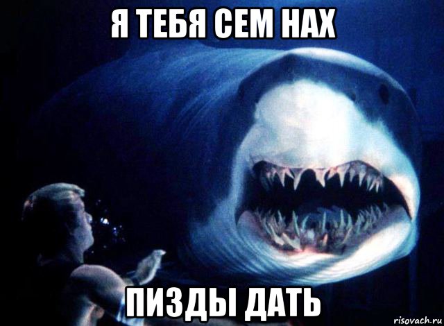 я тебя сем нах пизды дать, Мем Акула брутал