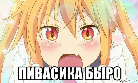  пивасика быро, Мем Аниме