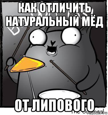 как отличить натуральный мёд от липового