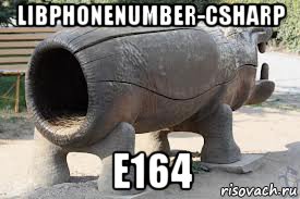 libphonenumber-csharp e164