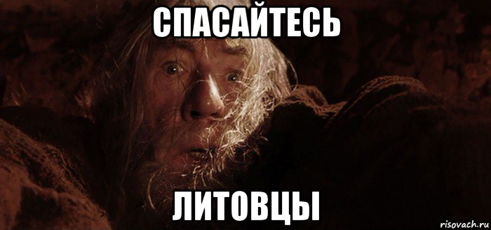 спасайтесь литовцы, Мем Бегите глупцы