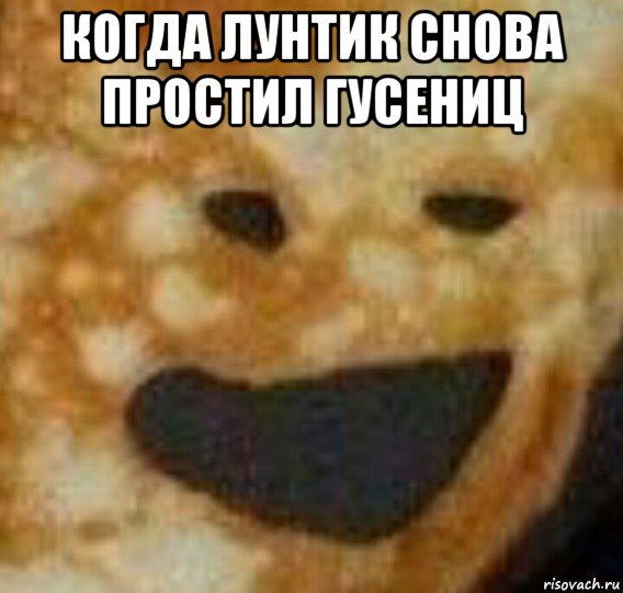 когда лунтик снова простил гусениц , Мем Блидруг