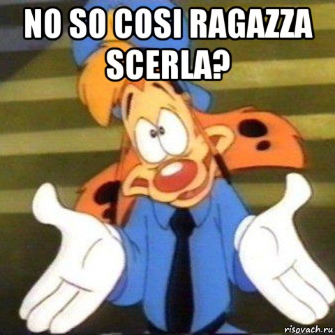 no so cosi ragazza scerla? , Мем Bonkers