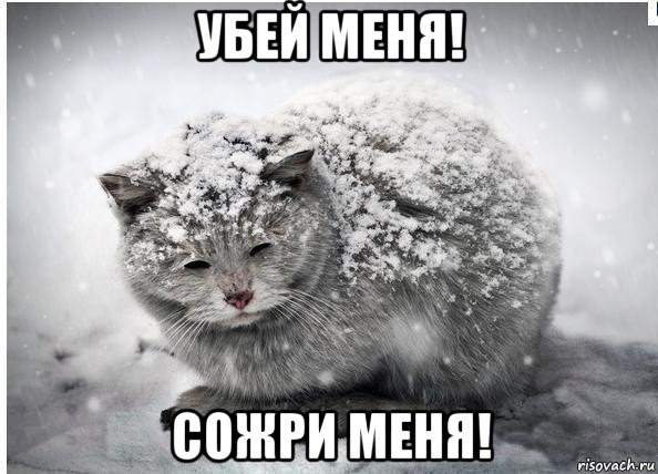 убей меня! сожри меня!, Мем Бумераег