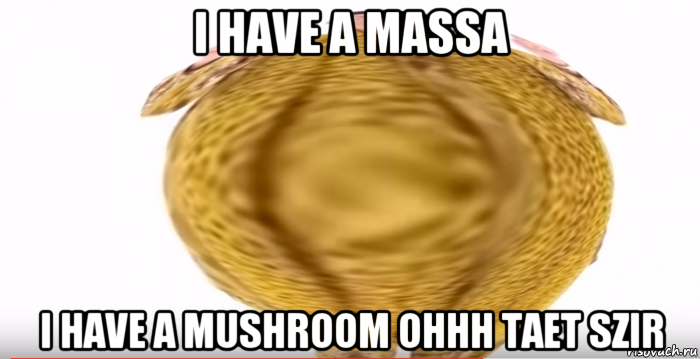 i have a massa i have a mushroom ohhh taet szir, Мем Было дело такое
