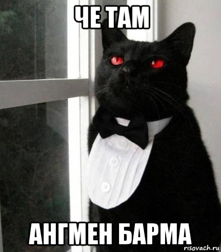 че там ангмен барма, Мем Cat in black